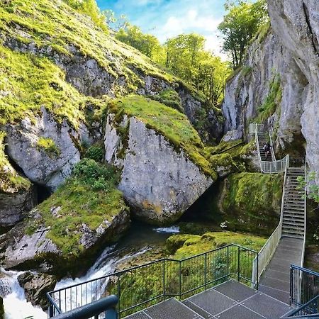 Maison Renovee Au Coeur Du Haut-Jura Entre-Deux-Monts Kültér fotó